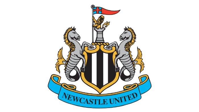 15. Transfer Liga Inggris Newcastle United
