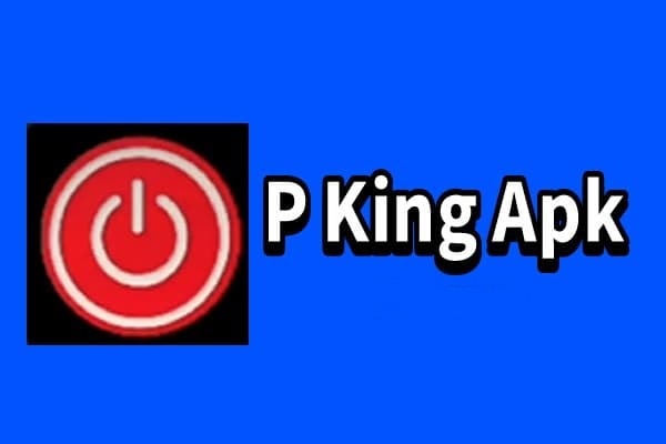 Download P-King APK Aplikasi Terbaik untuk Mengunduh Konten Favorit Anda