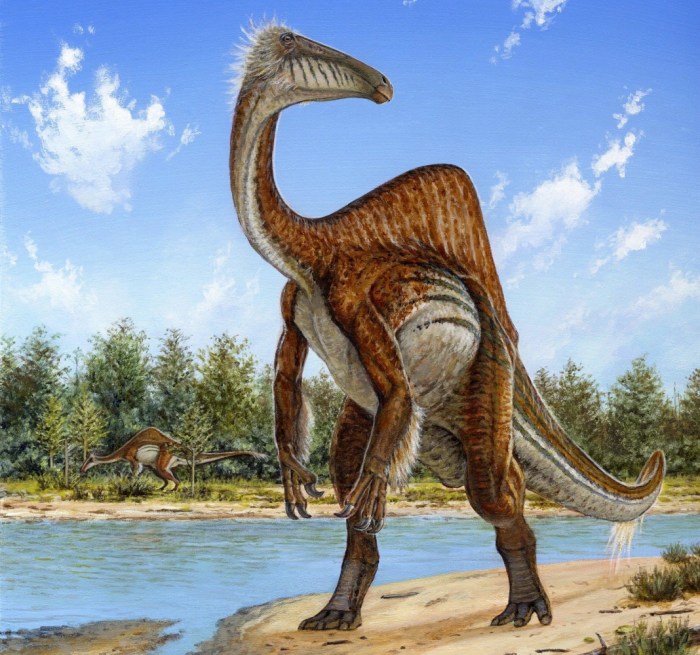 Penemuan Dinosaurus Baru Fosil Cakar Raksasa di Argentina