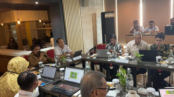 Mantan Pj Gubernur Papua Tengah Ribka Haluk Resmi Dilantik Jadi Ketua Komite Percepatan Pembangunan Papua